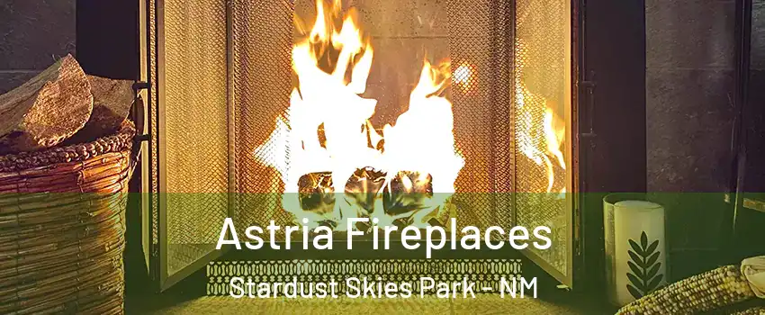 Astria Fireplaces Stardust Skies Park - NM