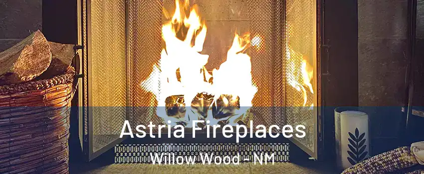 Astria Fireplaces Willow Wood - NM