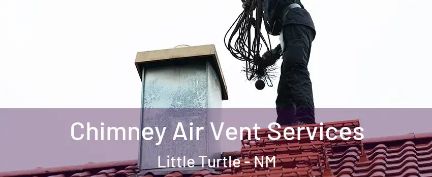 Chimney Air Vent Services Little Turtle - NM