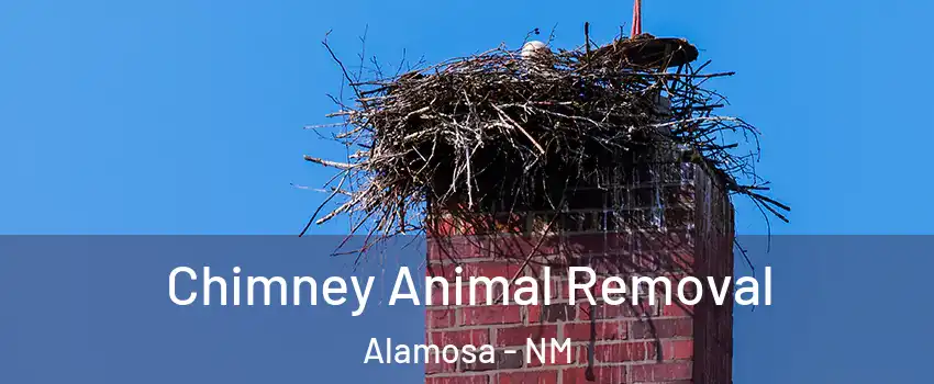 Chimney Animal Removal Alamosa - NM