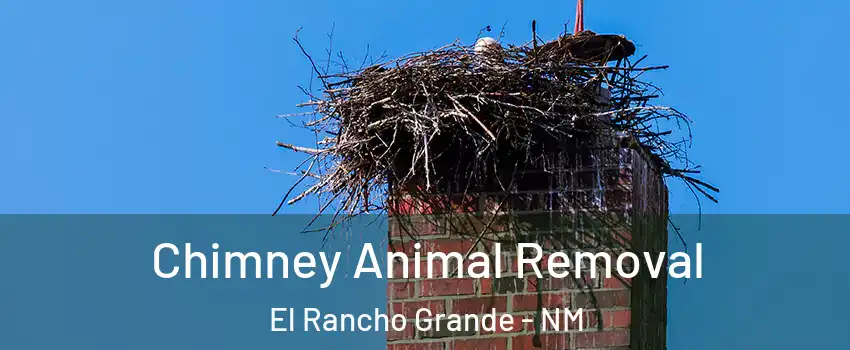 Chimney Animal Removal El Rancho Grande - NM