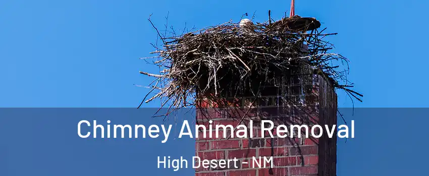 Chimney Animal Removal High Desert - NM