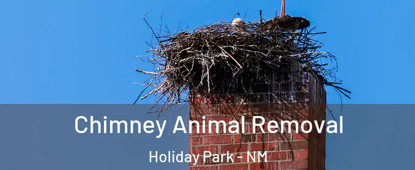 Chimney Animal Removal Holiday Park - NM