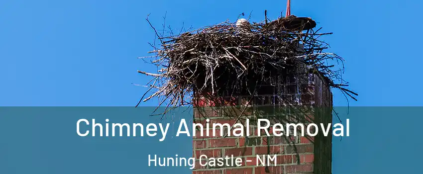 Chimney Animal Removal Huning Castle - NM