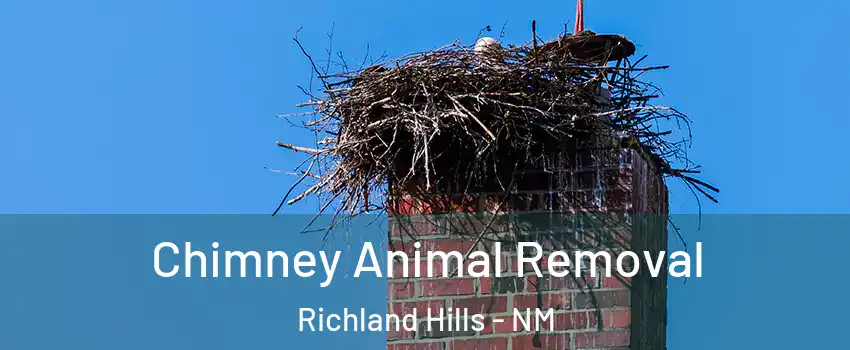 Chimney Animal Removal Richland Hills - NM