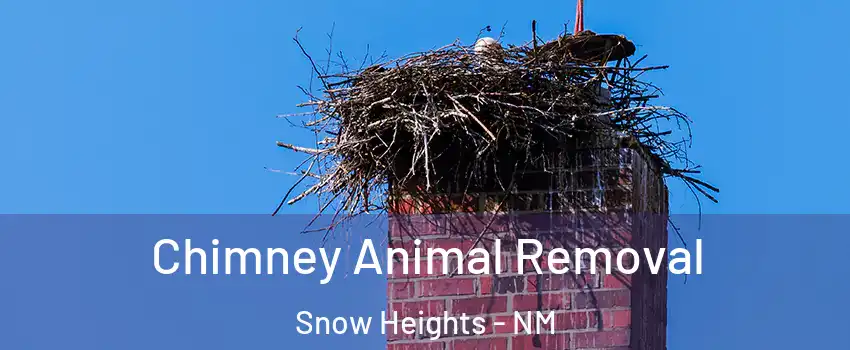 Chimney Animal Removal Snow Heights - NM