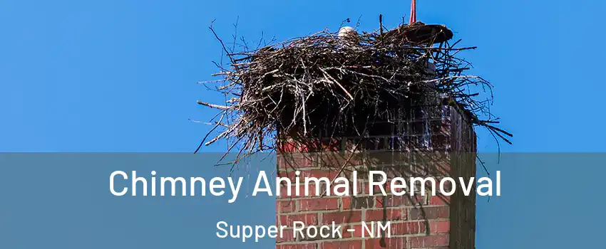 Chimney Animal Removal Supper Rock - NM