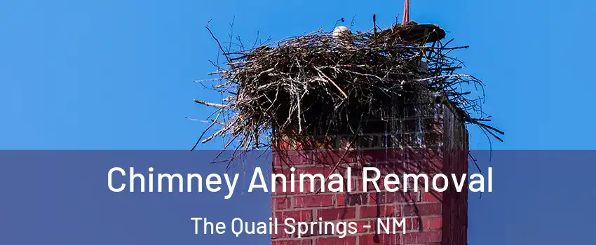 Chimney Animal Removal The Quail Springs - NM