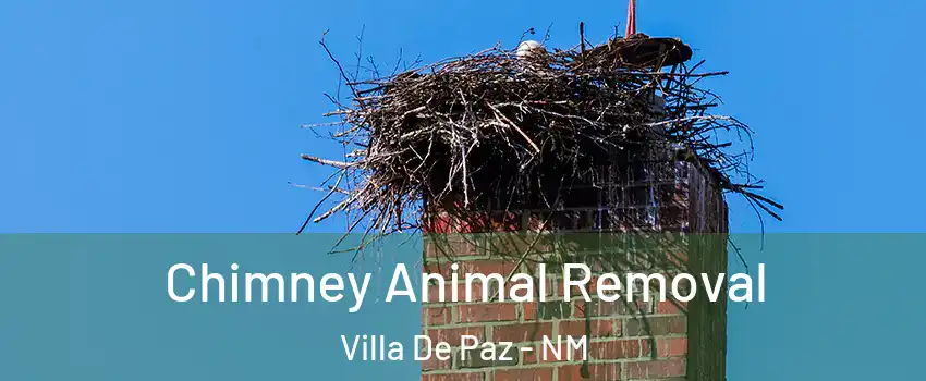 Chimney Animal Removal Villa De Paz - NM