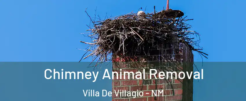 Chimney Animal Removal Villa De Villagio - NM