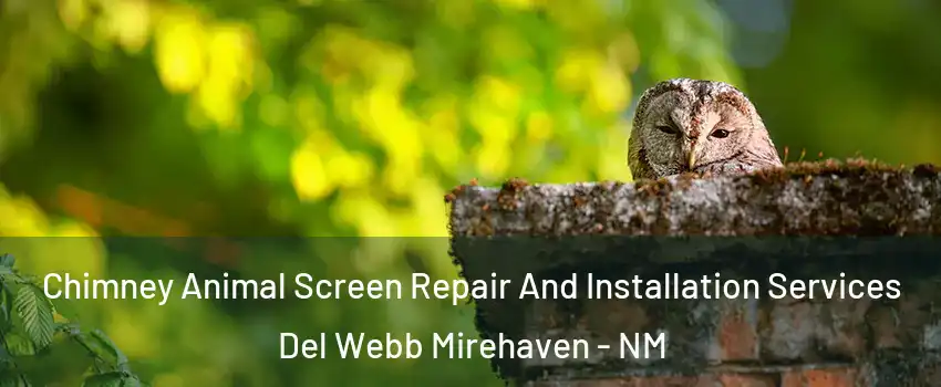 Chimney Animal Screen Repair And Installation Services Del Webb Mirehaven - NM