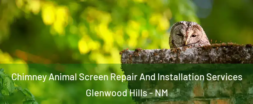 Chimney Animal Screen Repair And Installation Services Glenwood Hills - NM