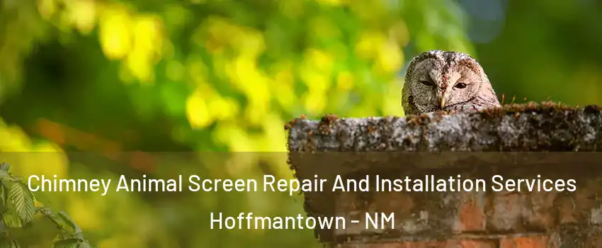 Chimney Animal Screen Repair And Installation Services Hoffmantown - NM