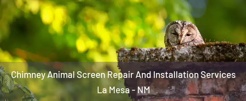 Chimney Animal Screen Repair And Installation Services La Mesa - NM