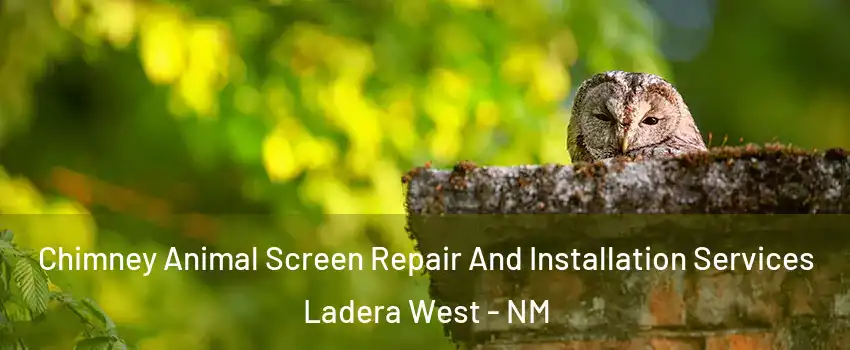 Chimney Animal Screen Repair And Installation Services Ladera West - NM