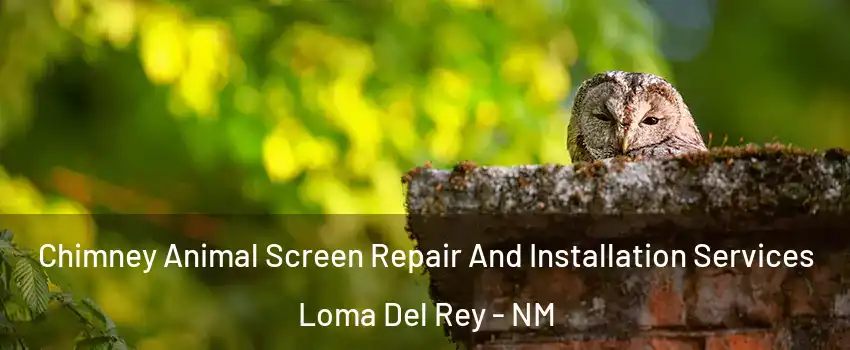 Chimney Animal Screen Repair And Installation Services Loma Del Rey - NM