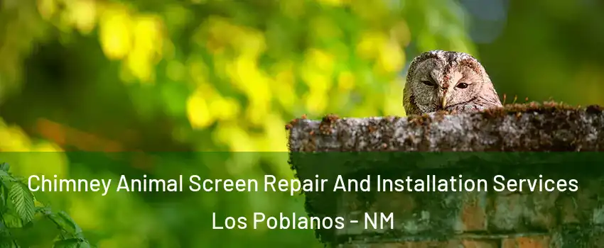 Chimney Animal Screen Repair And Installation Services Los Poblanos - NM