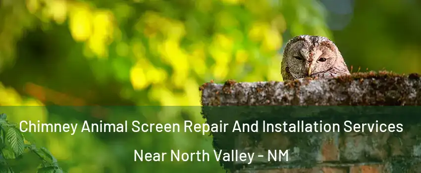 Chimney Animal Screen Repair And Installation Services Near North Valley - NM