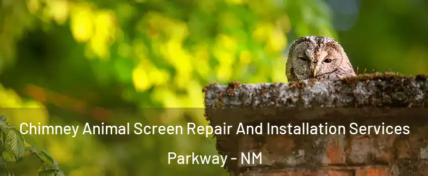 Chimney Animal Screen Repair And Installation Services Parkway - NM