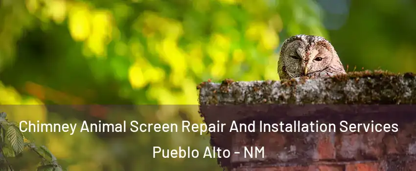 Chimney Animal Screen Repair And Installation Services Pueblo Alto - NM