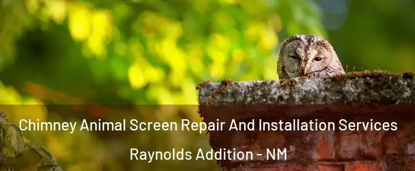 Chimney Animal Screen Repair And Installation Services Raynolds Addition - NM