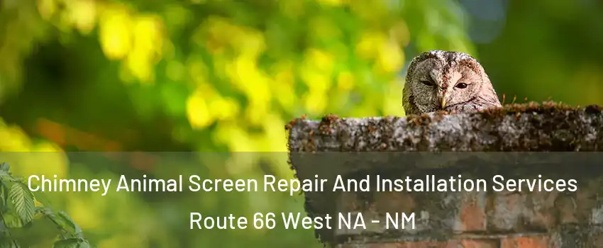 Chimney Animal Screen Repair And Installation Services Route 66 West NA - NM