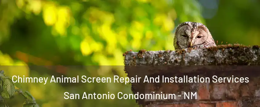 Chimney Animal Screen Repair And Installation Services San Antonio Condominium - NM