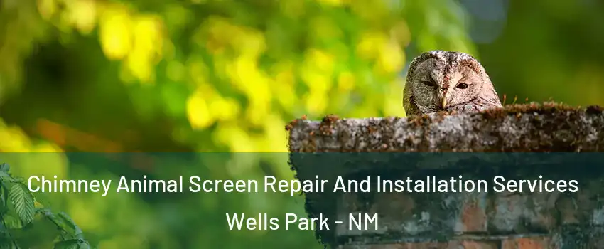 Chimney Animal Screen Repair And Installation Services Wells Park - NM