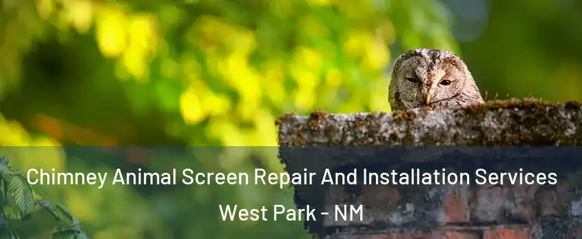 Chimney Animal Screen Repair And Installation Services West Park - NM