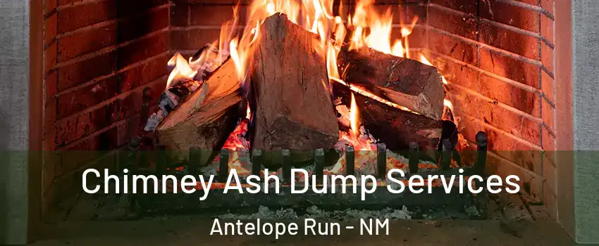 Chimney Ash Dump Services Antelope Run - NM