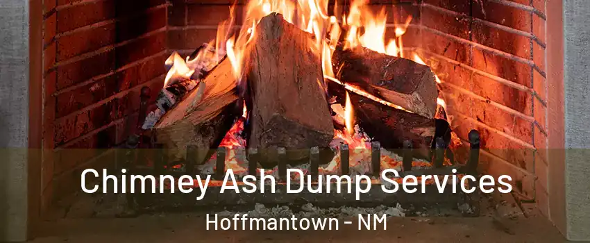 Chimney Ash Dump Services Hoffmantown - NM