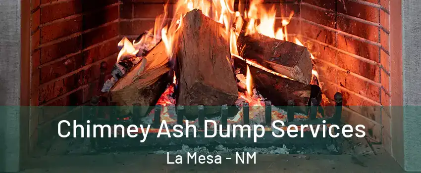 Chimney Ash Dump Services La Mesa - NM