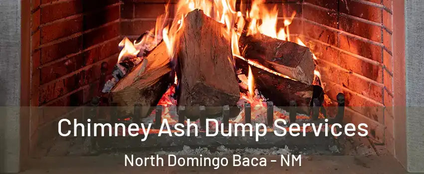 Chimney Ash Dump Services North Domingo Baca - NM