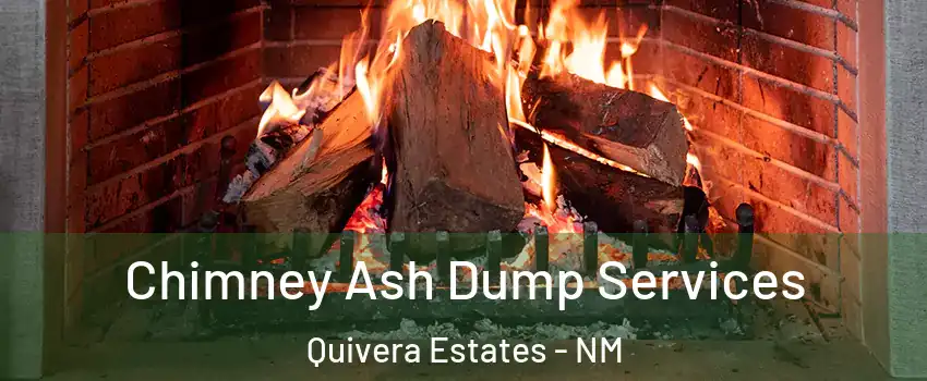 Chimney Ash Dump Services Quivera Estates - NM