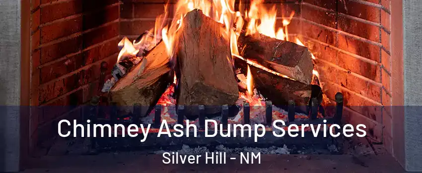 Chimney Ash Dump Services Silver Hill - NM