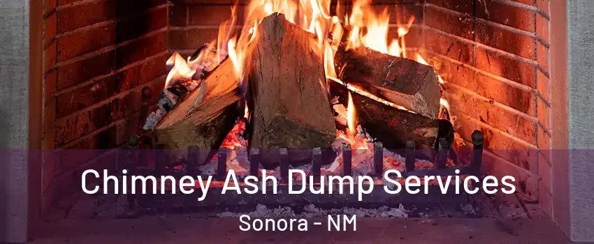 Chimney Ash Dump Services Sonora - NM