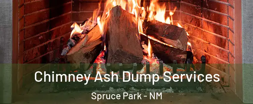 Chimney Ash Dump Services Spruce Park - NM