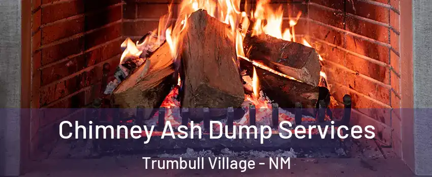 Chimney Ash Dump Services Trumbull Village - NM