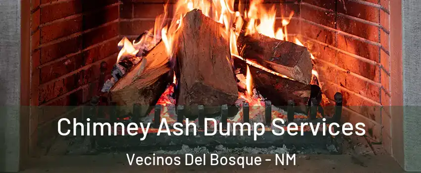 Chimney Ash Dump Services Vecinos Del Bosque - NM