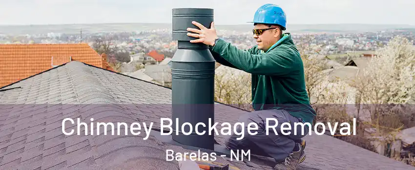 Chimney Blockage Removal Barelas - NM