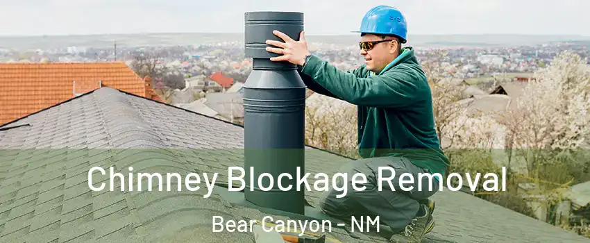 Chimney Blockage Removal Bear Canyon - NM