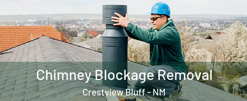 Chimney Blockage Removal Crestview Bluff - NM