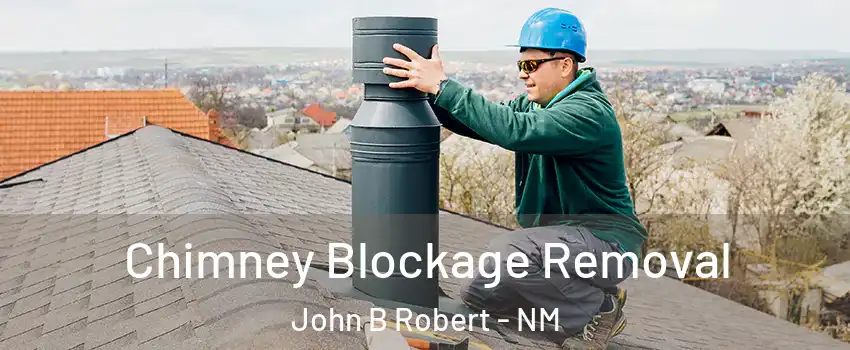 Chimney Blockage Removal John B Robert - NM