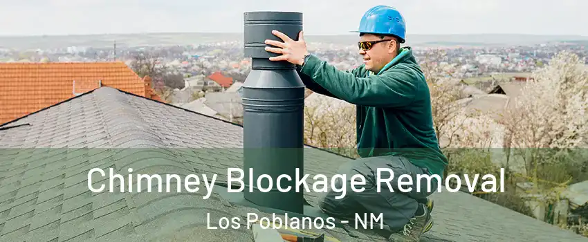 Chimney Blockage Removal Los Poblanos - NM