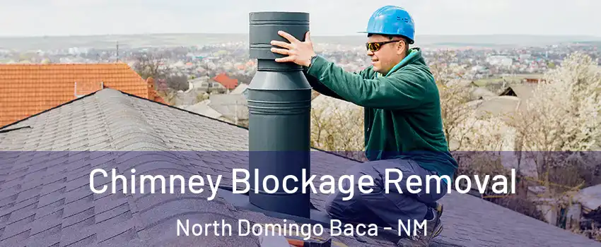 Chimney Blockage Removal North Domingo Baca - NM