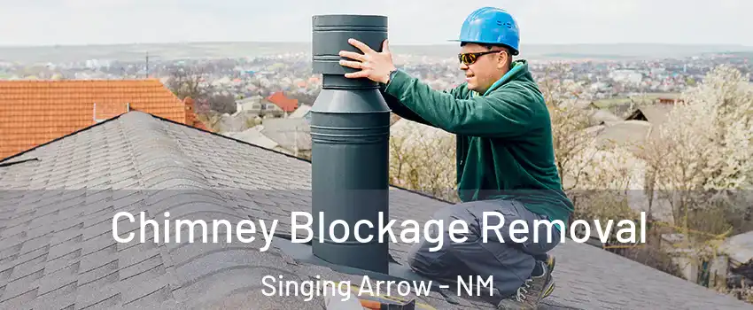 Chimney Blockage Removal Singing Arrow - NM