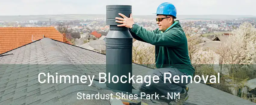 Chimney Blockage Removal Stardust Skies Park - NM