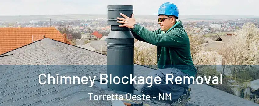 Chimney Blockage Removal Torretta Oeste - NM