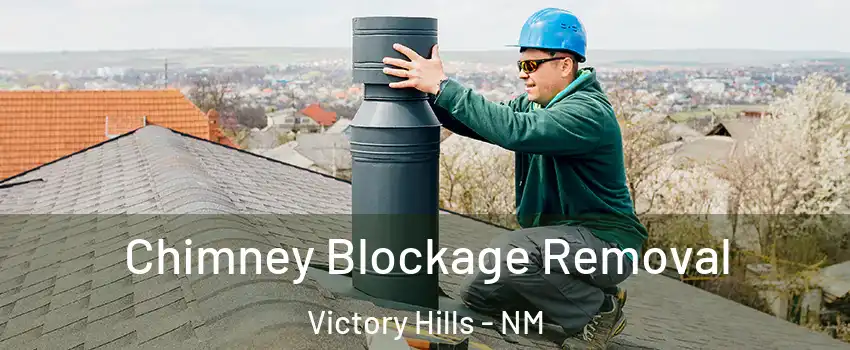 Chimney Blockage Removal Victory Hills - NM