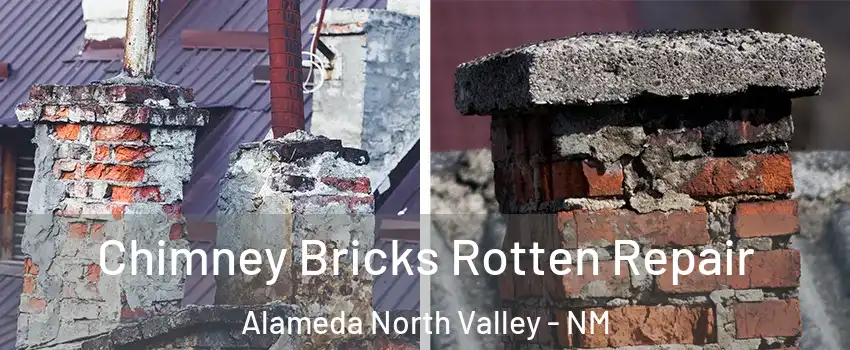 Chimney Bricks Rotten Repair Alameda North Valley - NM